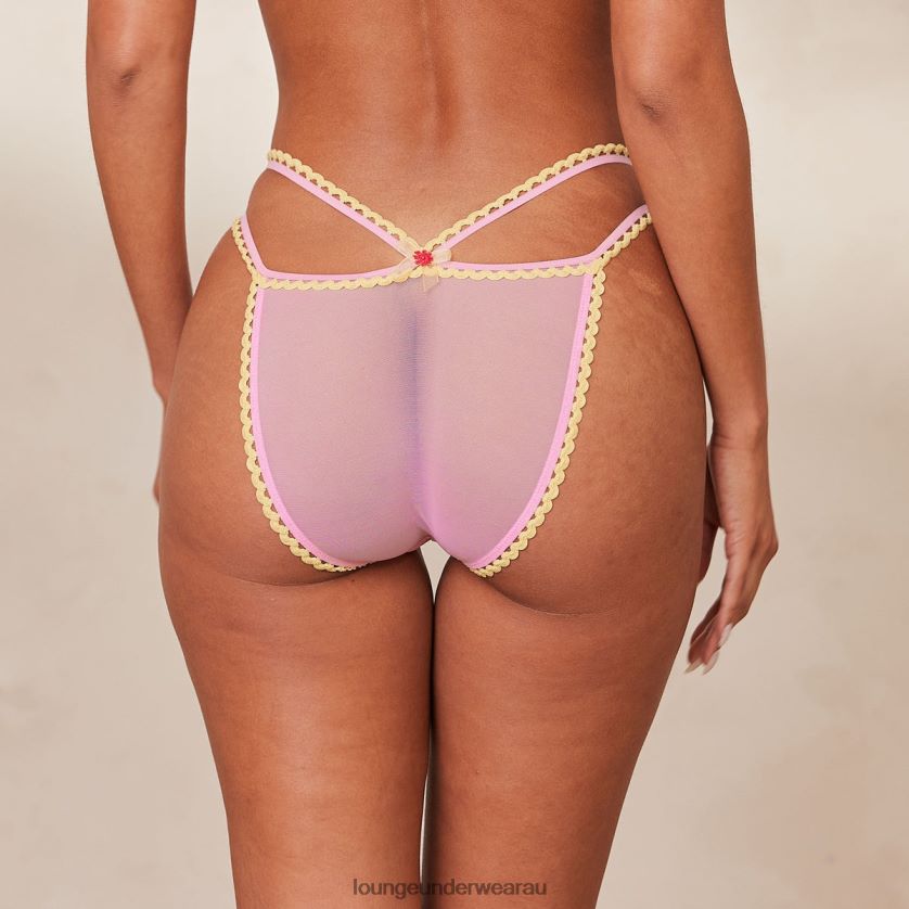 Daisy Embroidered Briefs Underwear Lounge Women Pink 240R48281